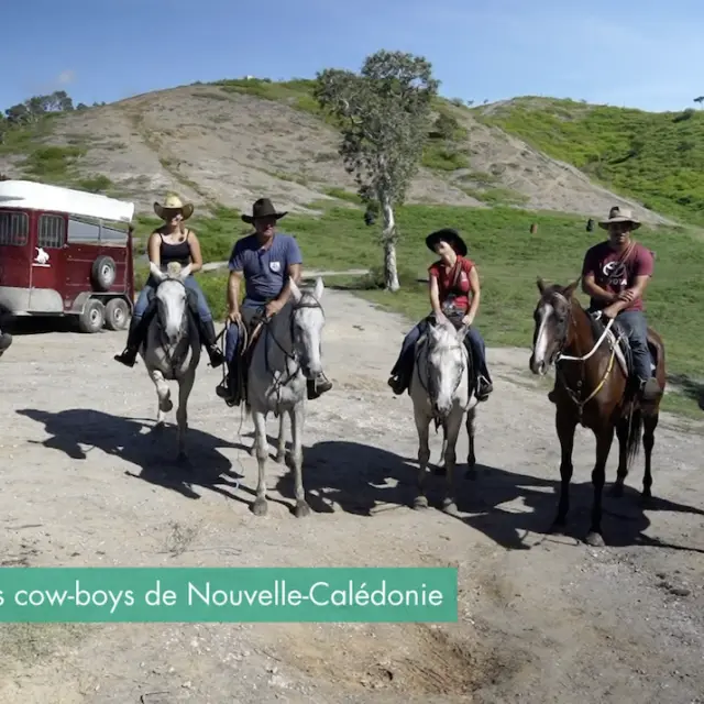 Les cow-boys de Nouvelle-Calédonie perpétuent la tradition.