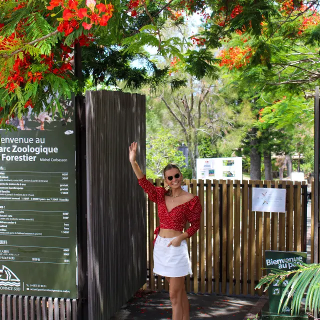 Parc provincial Zoologique et Forestier Nouméa