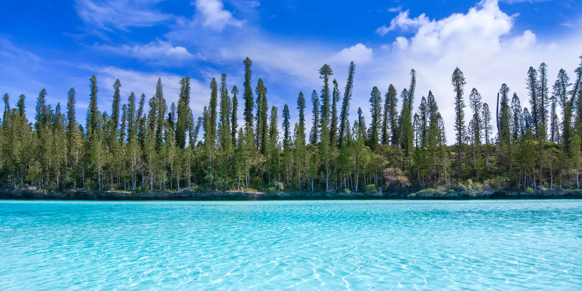 Eaux turquoise et peu profondes de la baie d’Oro, à l’Île des Pins, avec une ligne de pins colonnaires sur le rivage.