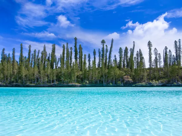 Eaux turquoise et peu profondes de la baie d’Oro, à l’Île des Pins, avec une ligne de pins colonnaires sur le rivage.