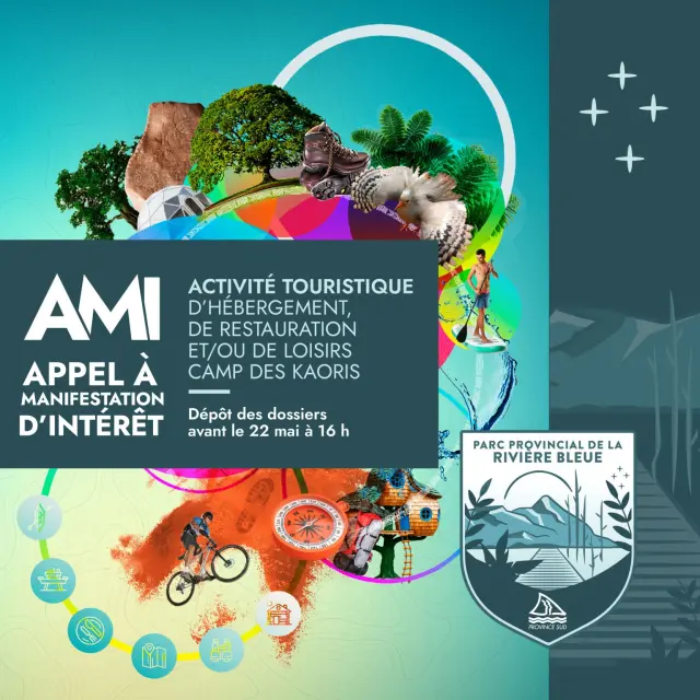La province Sud lance un AMI pour donner une nouvelle vie au Camp des Kaoris, au cœur du Parc provincial de la Rivière-Bleue