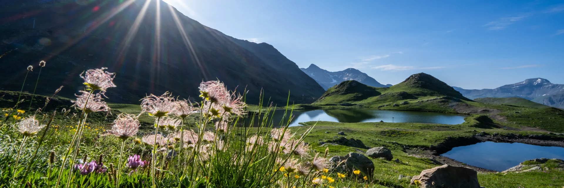 Summer lakes
