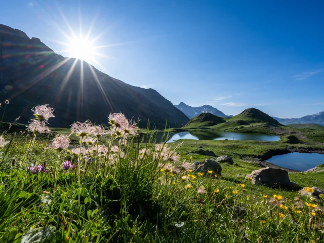 Summer lakes