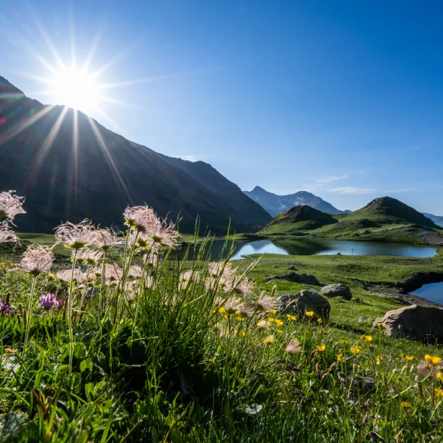 Summer lakes