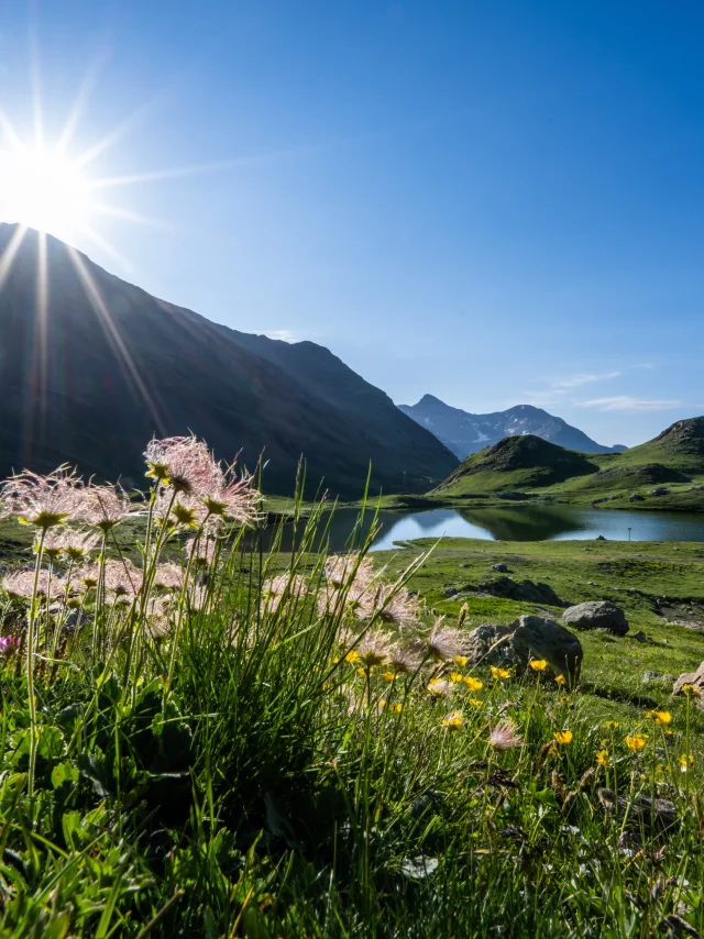 Summer lakes