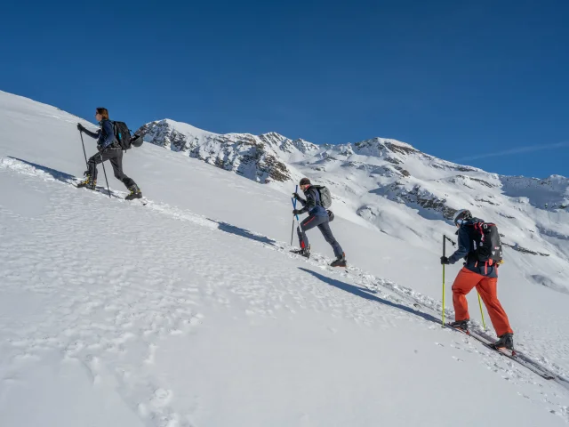 Ski touring