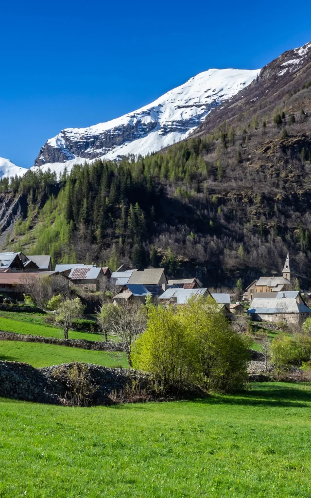 Prapic au printemps