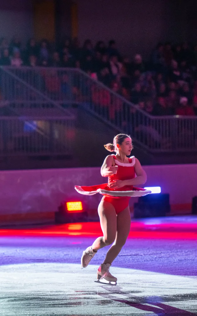 Patinoire du Palais des Sports