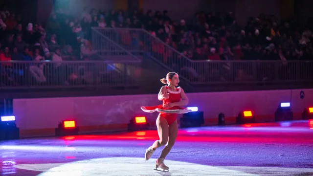 Patinoire du Palais des Sports