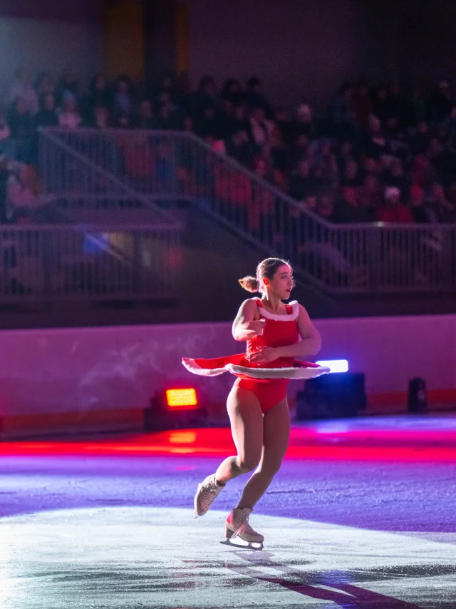 Patinoire du Palais des Sports