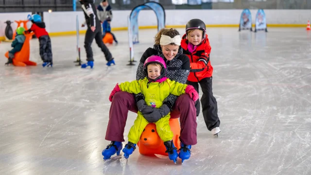 Ice Garden at the Ice Rink