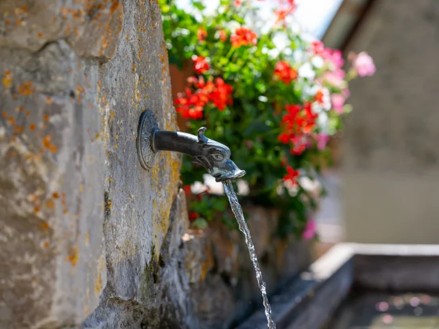 Fountain at Prapic