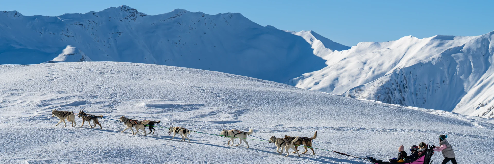 Family husky ride