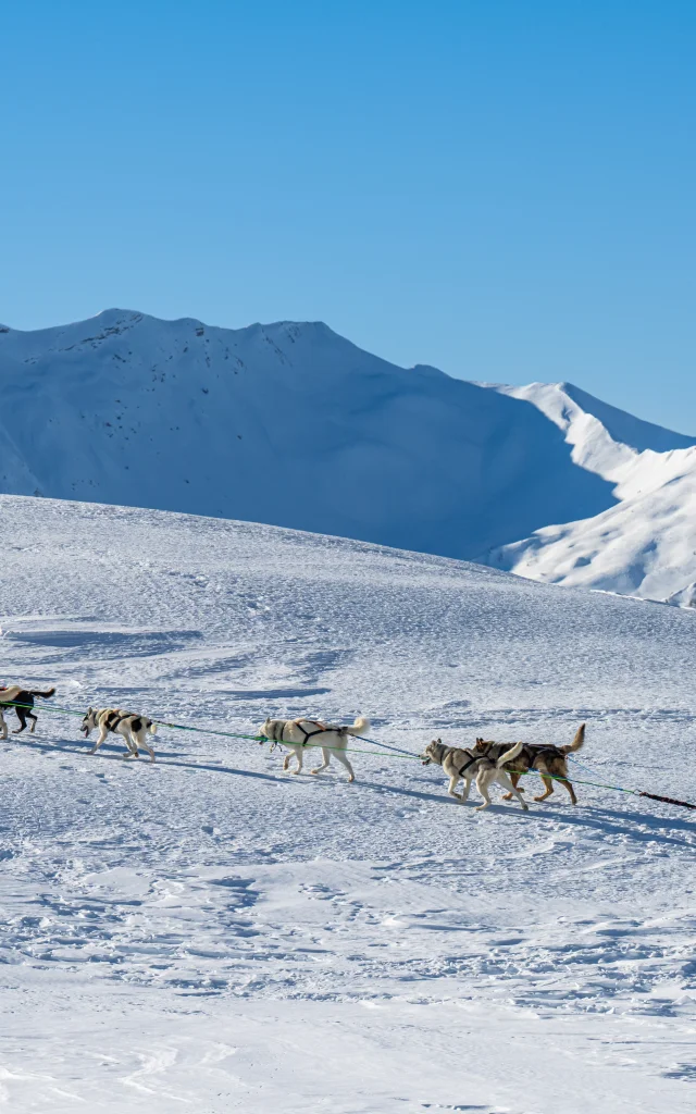 Paseo familiar en husky