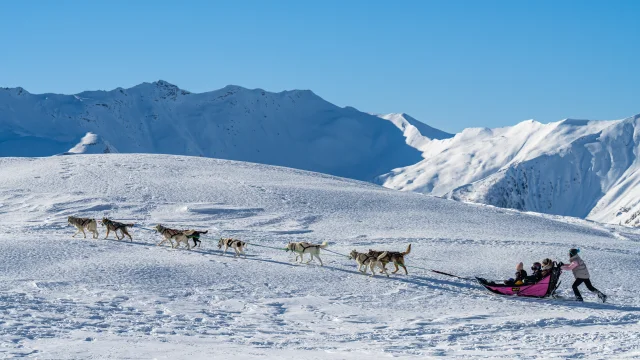 Balade en famille en chien de traineau