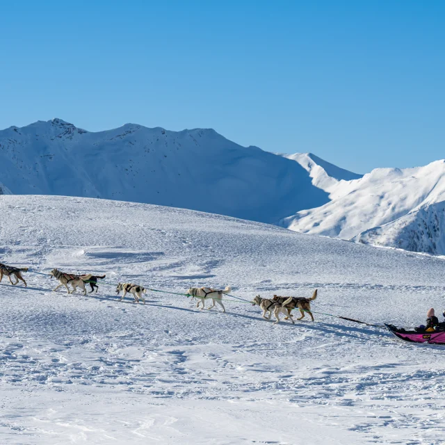 Family husky ride