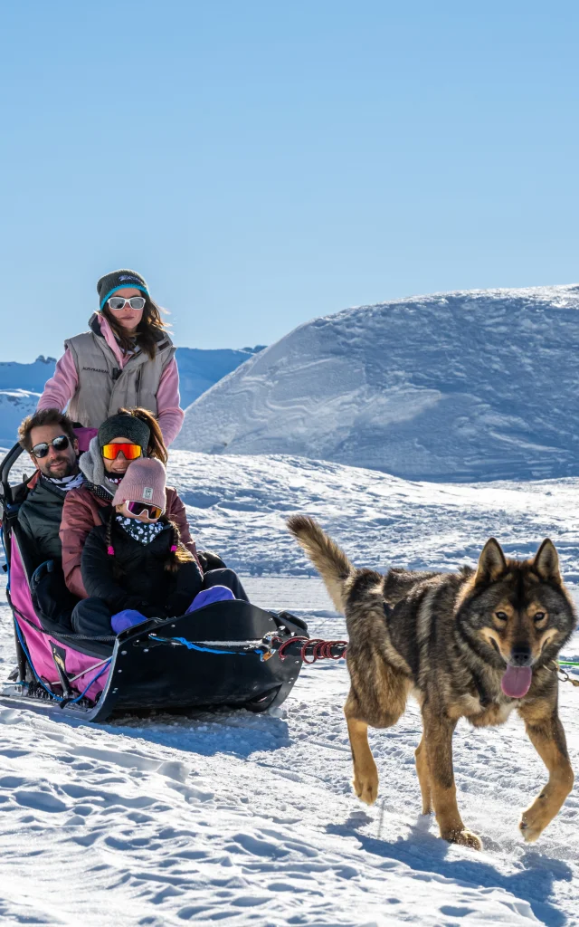 Family husky ride
