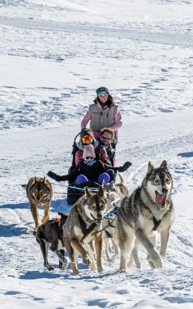Family husky ride