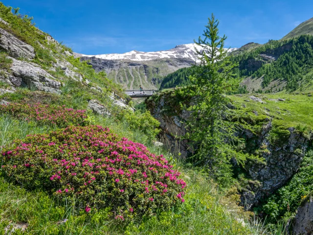 Saut du Laire at Prapic