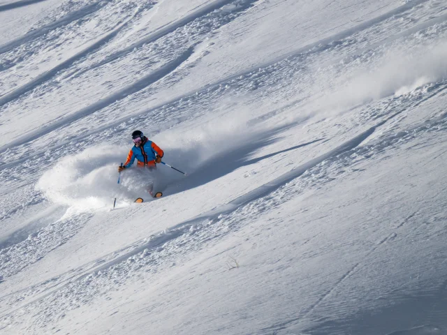 Freeride