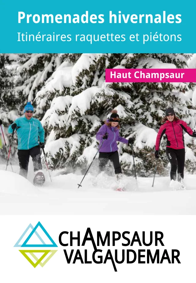 Htchampsaur Snowshoe Plan Cover 2018 V8