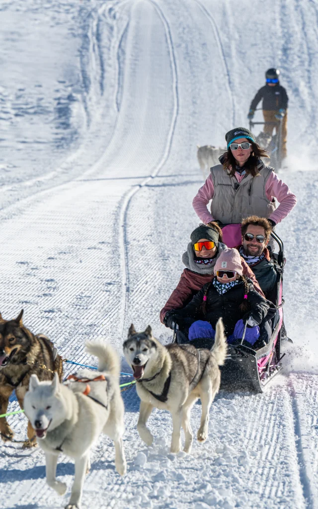 Paseo familiar en husky