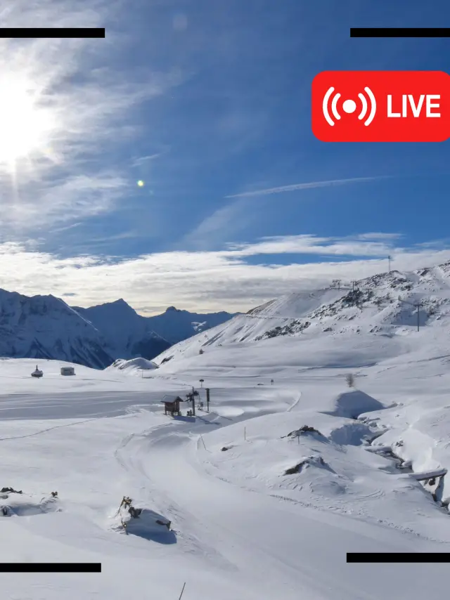 Cámara web en directo