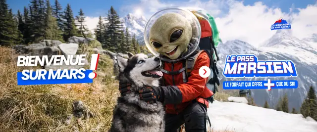 Pass Du Marsien Chiens De Traineau