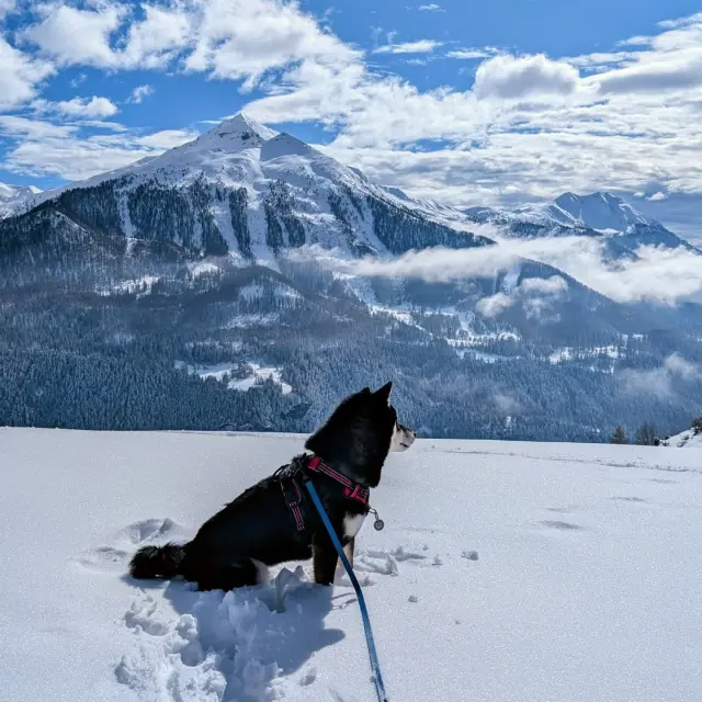 Instagram #orcieresmerlette