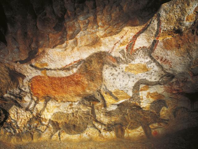 Image 237
