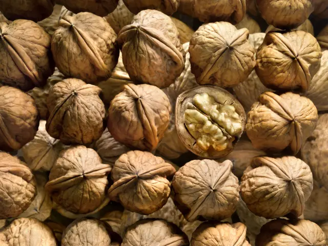 Aop Noix Périgord Noix En Rangées 2