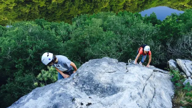 1471518197 1281307809