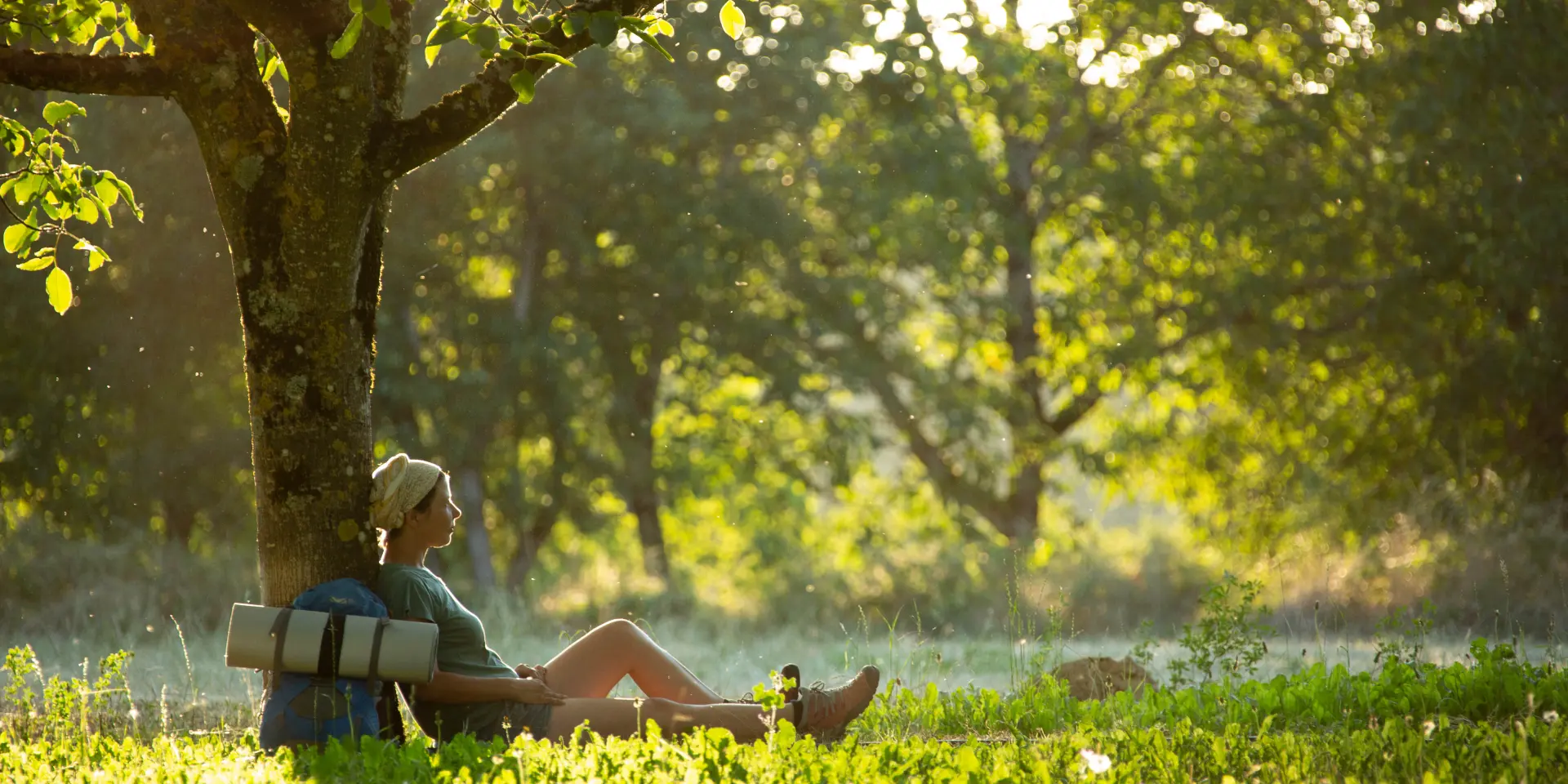 Randonnee Chemin Noyeraie Gintrac©malikaturin 00019