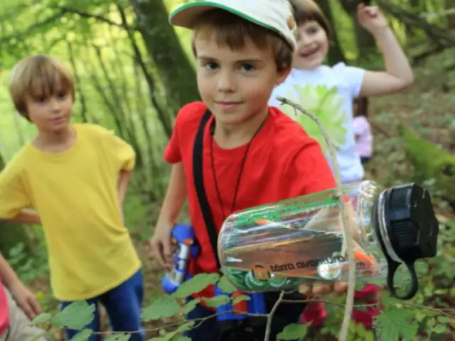 Terra Aventura Cache