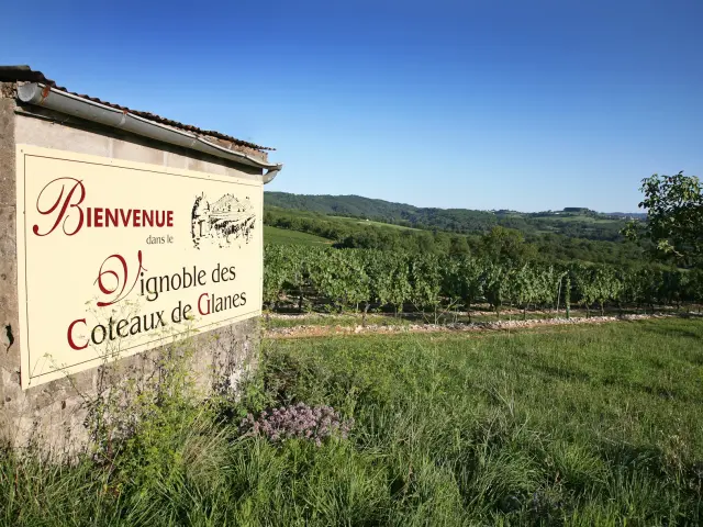 Vignoble De Glanes ® Lot Tourisme J. Morel 3