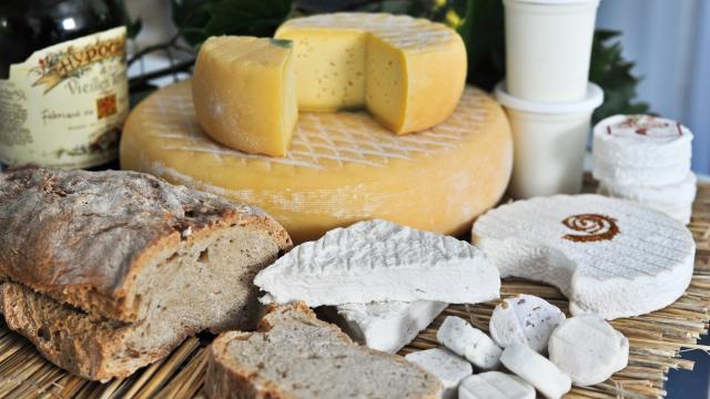 Bois D'almathée Cabécous, Fromages©otvd C.ory.1093 2