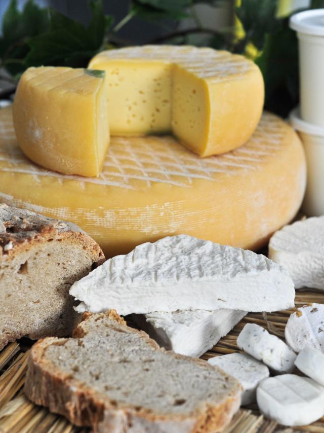 Bois D'almathée Cabécous, Fromages©otvd C.ory.1093 2