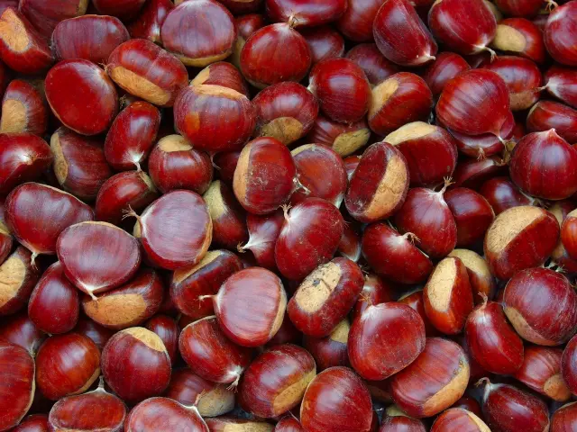 Romagne 86 Châtaignes 2008