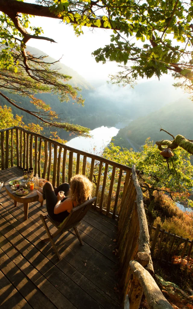 Cabanes dans les arbres Hêtre Sous Le Charme
