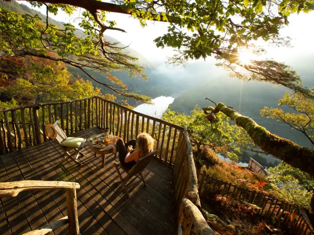 Cabanes dans les arbres Hêtre Sous Le Charme