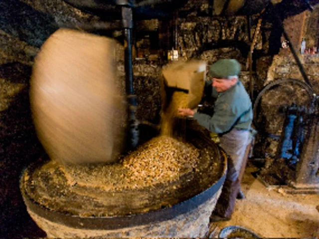 14 Prod Moulin Huile Noix Martel