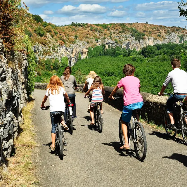 54 Vélo 663©otvd Cochise Ory