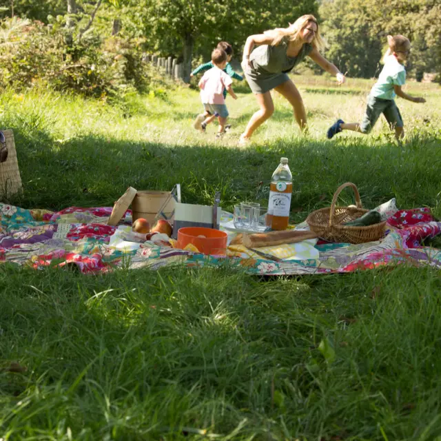 Pique-nique sur l'herbe