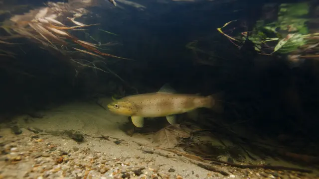 1515514251 1203810390.jpg