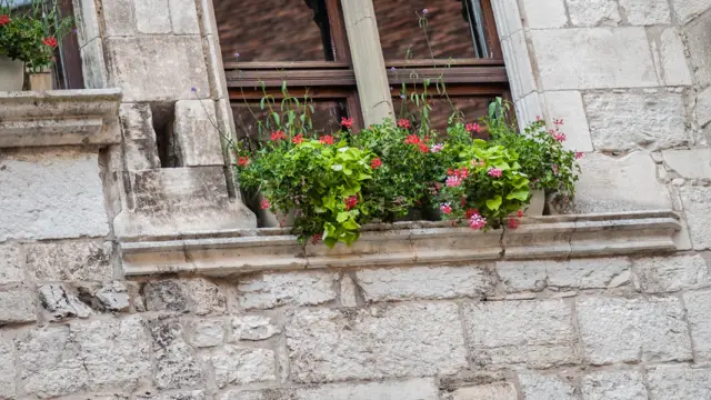 1518708636 556433942.jpg