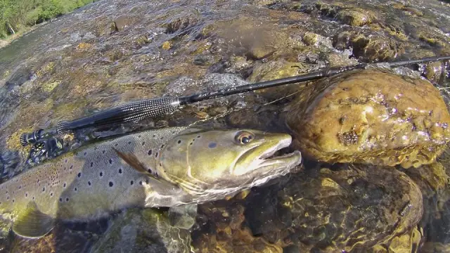 1518878344 183643282.jpg