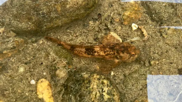 1520503709 1801451679.jpg