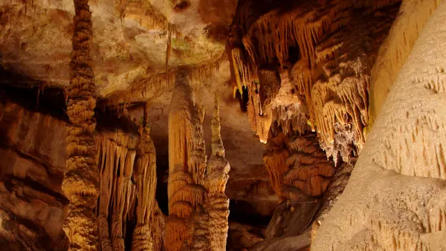 1542986204 528649979.jpg