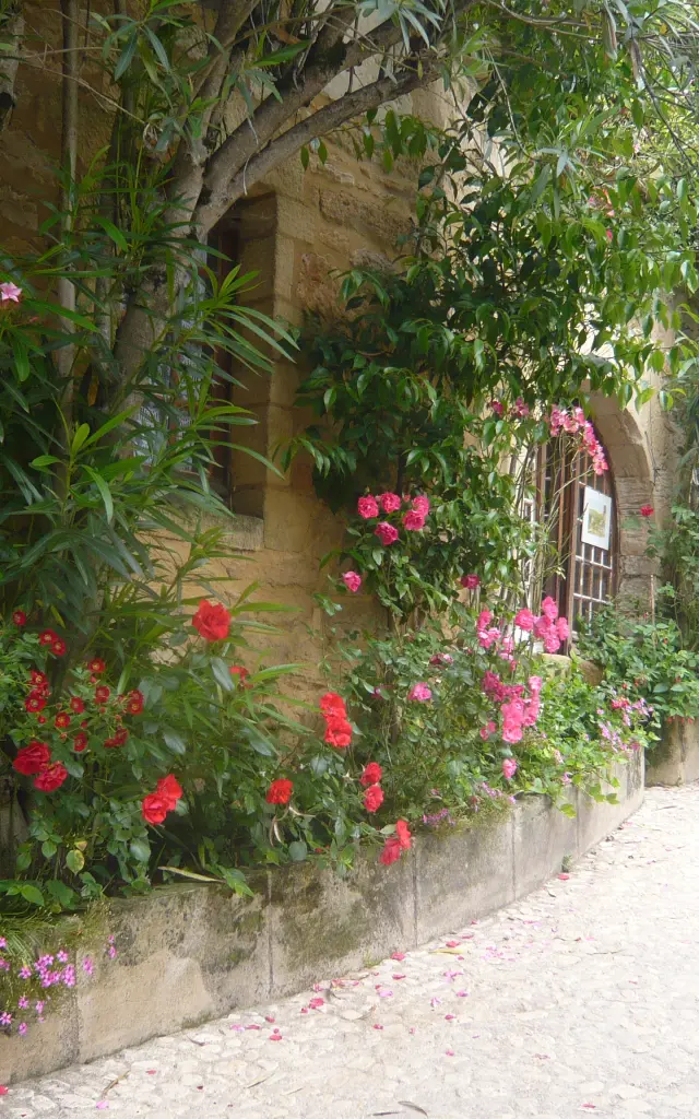 Jardin exotique de la Roque Gageac