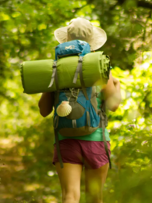 Chemin de Saint-Jacques de Compostelle